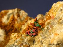 lokality-morava-borovec-13