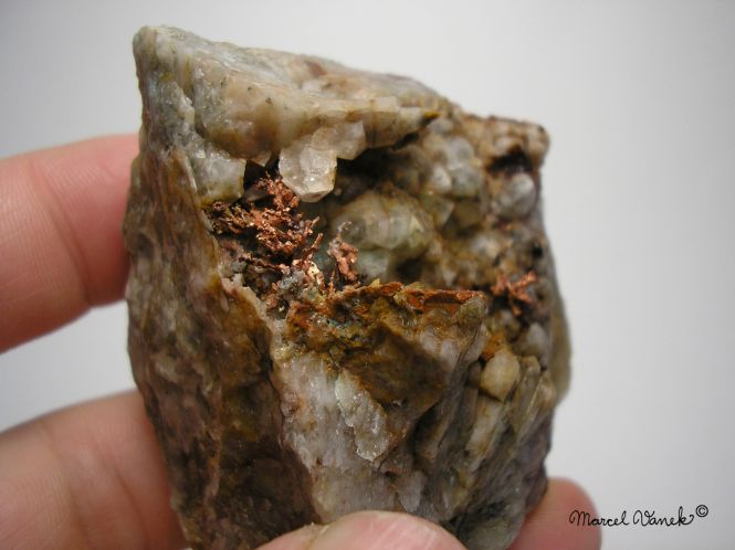 lokality-morava-borovec-14