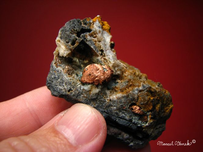 lokality-morava-borovec-16