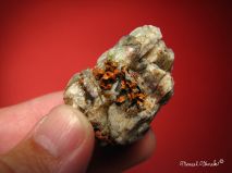 lokality-morava-borovec-17