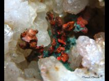 lokality-morava-borovec-18