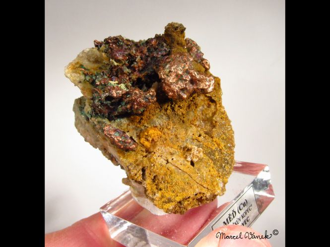 lokality-morava-borovec-20