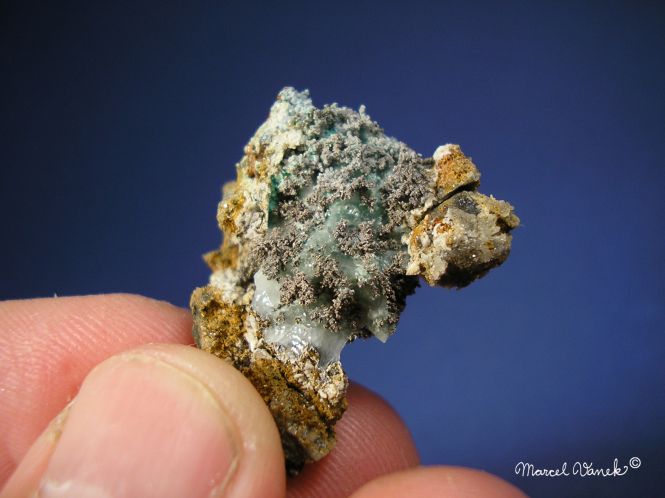 lokality-morava-borovec-21