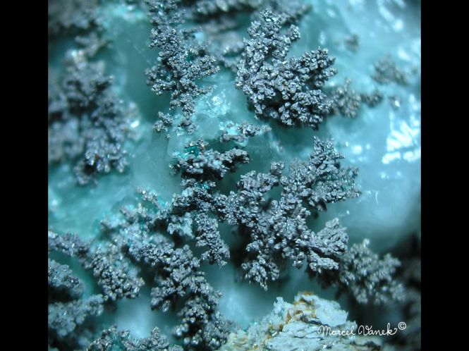 lokality-morava-borovec-22