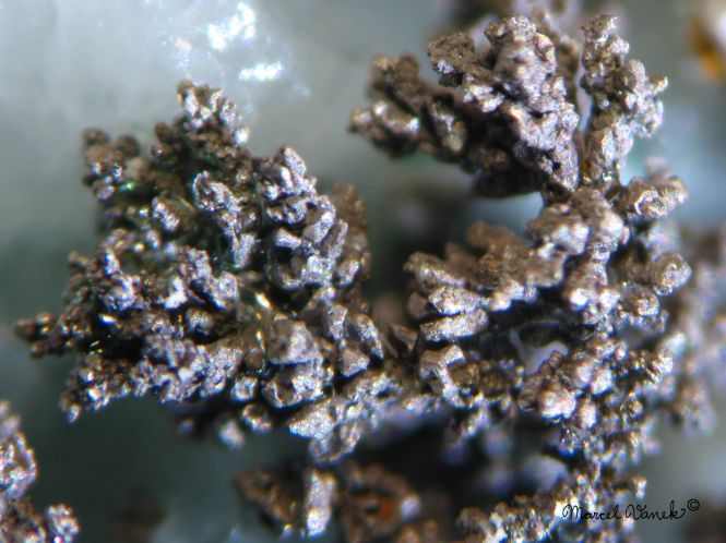 lokality-morava-borovec-23