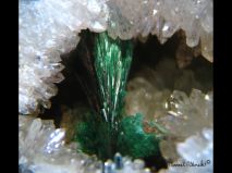 lokality-morava-borovec-24