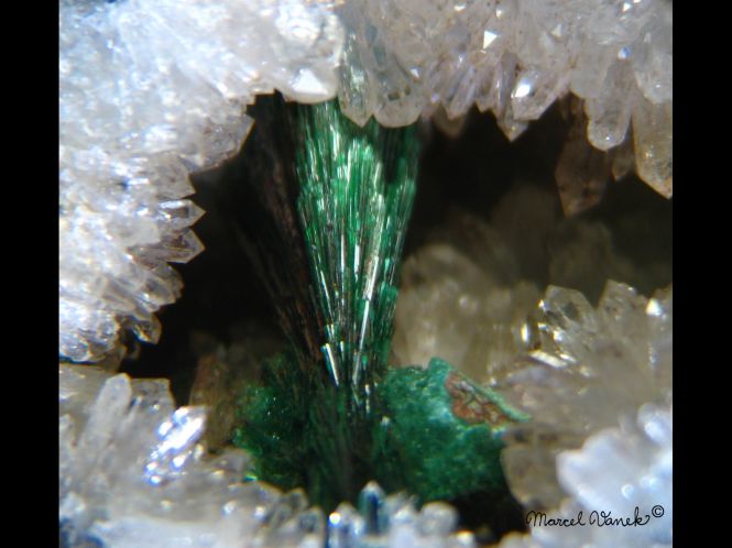 lokality-morava-borovec-24