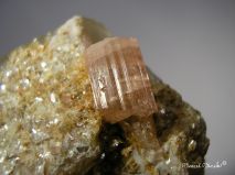 lokality-morava-dobra-voda-05