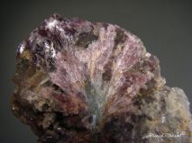 lokality-morava-dobra-voda-07