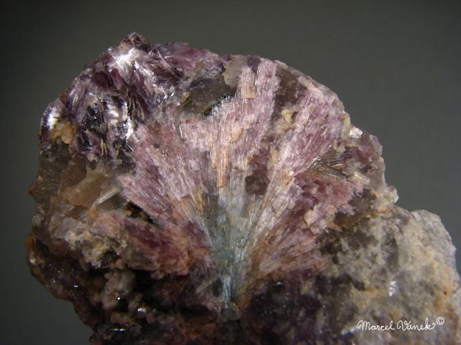 lokality-morava-dobra-voda-07