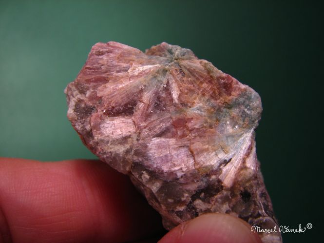 lokality-morava-dobra-voda-08