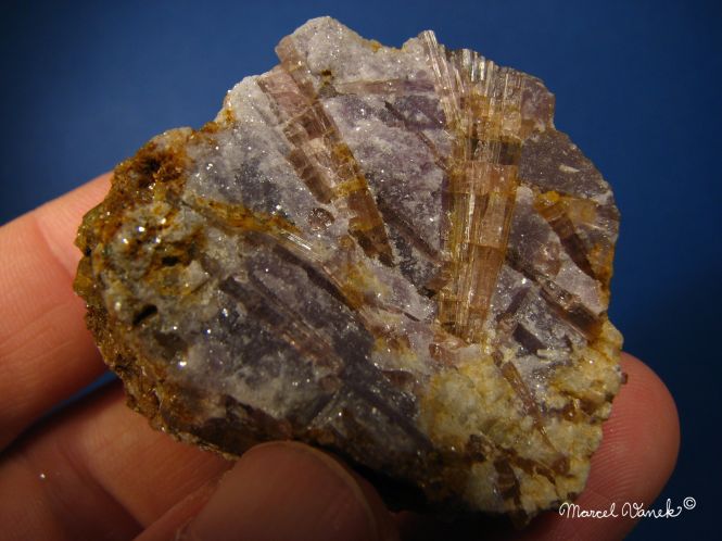 lokality-morava-dobra-voda-09