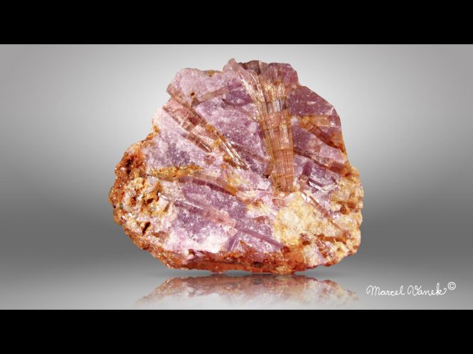 lokality-morava-dobra-voda-10