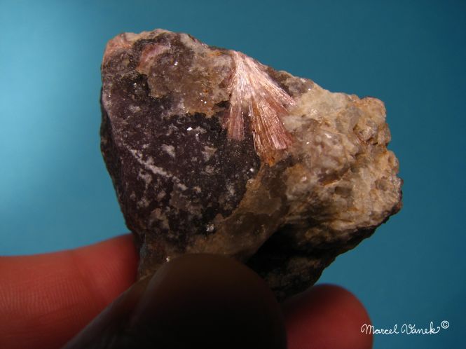 lokality-morava-dobra-voda-11