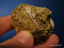 lokality-morava-dobra-voda-12