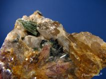 lokality-morava-dobra-voda-13