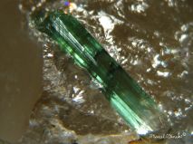 lokality-morava-dobra-voda-14