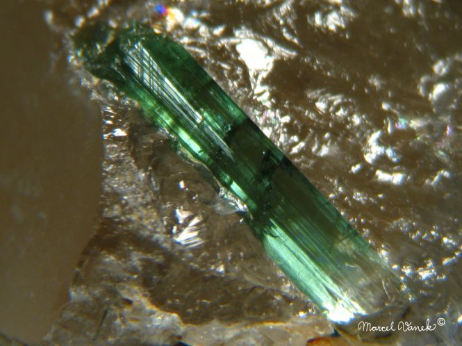 lokality-morava-dobra-voda-14