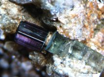 lokality-morava-dobra-voda-15