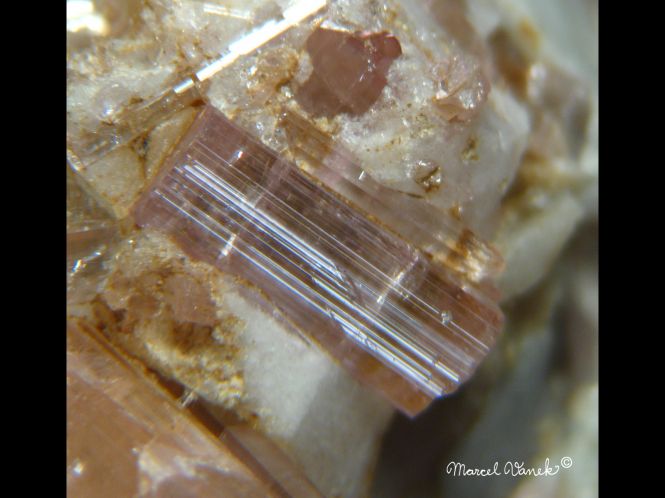 lokality-morava-dobra-voda-16