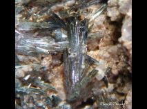 lokality-morava-dobra-voda-17