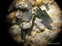 lokality-morava-dobra-voda-18