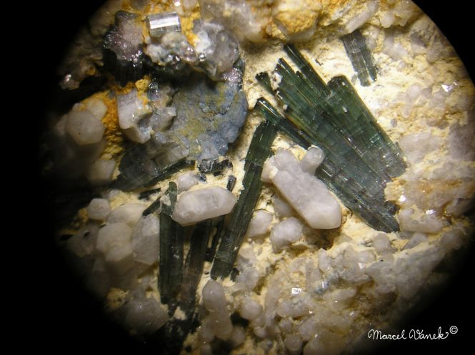 lokality-morava-dobra-voda-18