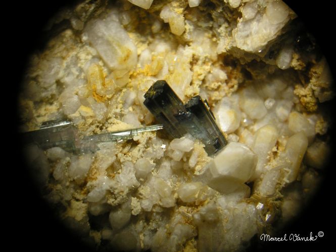 lokality-morava-dobra-voda-19