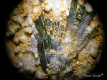 lokality-morava-dobra-voda-20