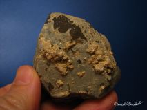 lokality-morava-dobra-voda-22