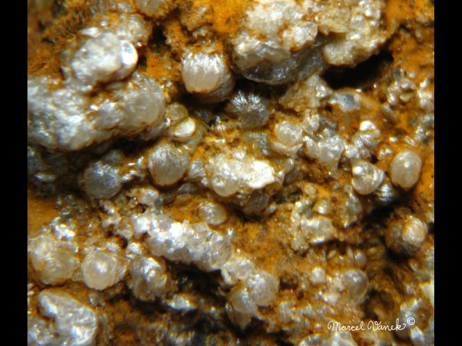 lokality-morava-dobra-voda-23