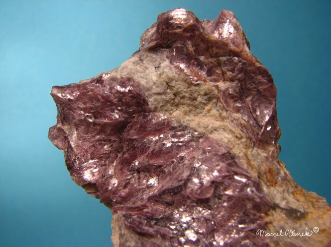 lokality-morava-dobra-voda-25