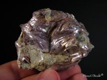 lokality-morava-dobra-voda-26