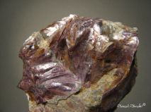 lokality-morava-dobra-voda-27