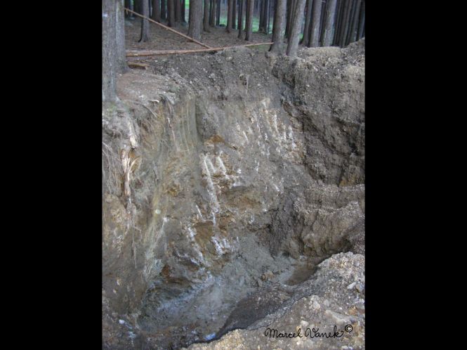 lokality-morava-dobra-voda-29