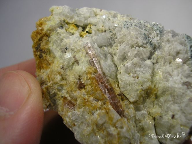 lokality-morava-dobra-voda-30