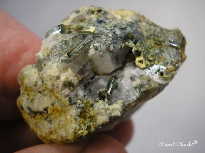 lokality-morava-dobra-voda-31