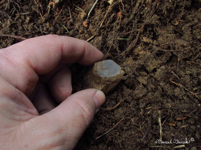 lokality-morava-pokojovice-2017-korund-09