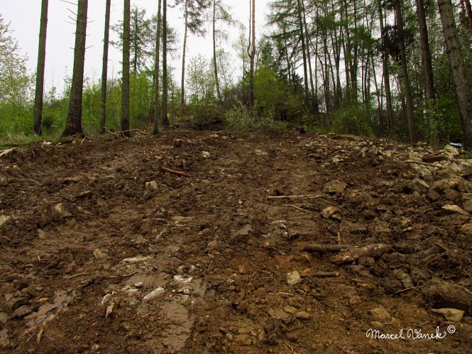 lokality-morava-pokojovice-2017-korund-100