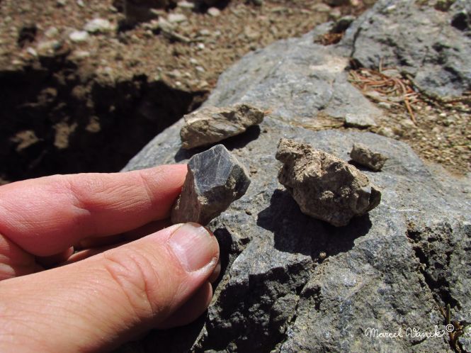 lokality-morava-pokojovice-2017-korund-106