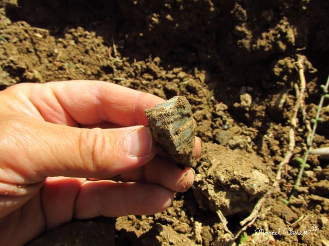 lokality-morava-pokojovice-2017-korund-107