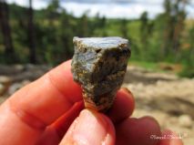 lokality-morava-pokojovice-2017-korund-108