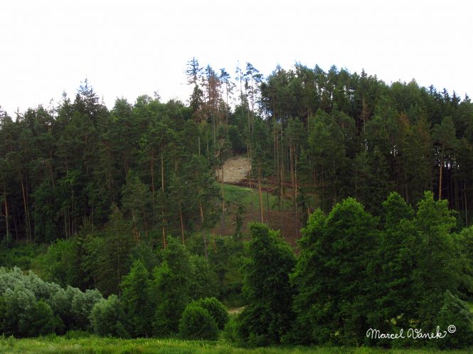 lokality-morava-pokojovice-2017-korund-109