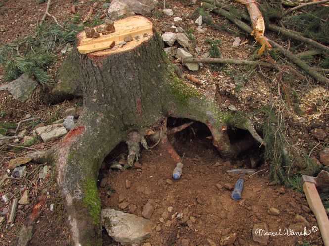 lokality-morava-pokojovice-2017-korund-11