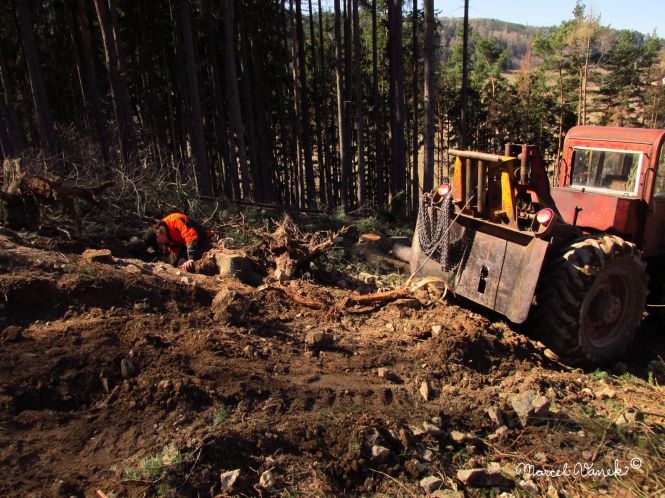 lokality-morava-pokojovice-2017-korund-18