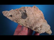 lokality-morava-pokojovice-2017-korund-21