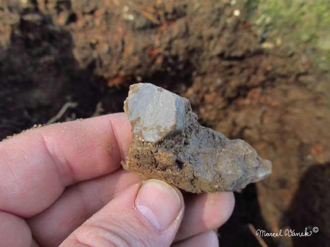 lokality-morava-pokojovice-2017-korund-22