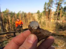 lokality-morava-pokojovice-2017-korund-23