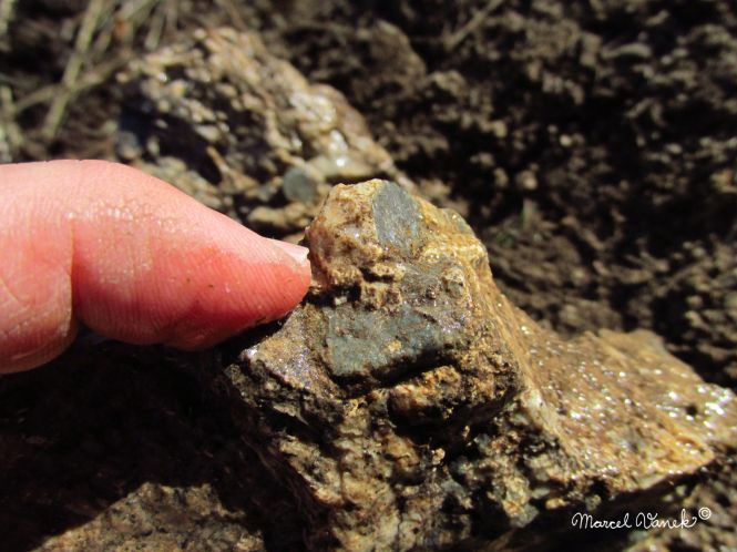 lokality-morava-pokojovice-2017-korund-30