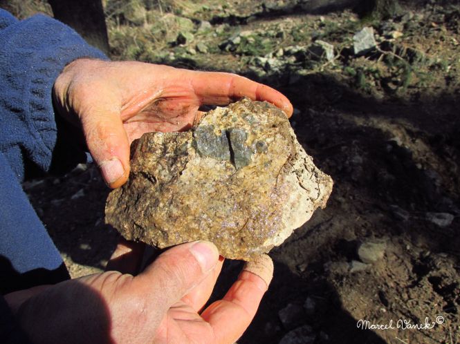 lokality-morava-pokojovice-2017-korund-31